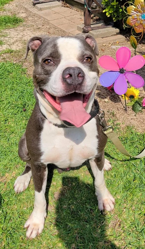 Tannen  💜 thumbnail 4