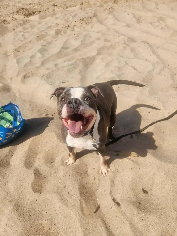 Tannen  💜 thumbnail 5