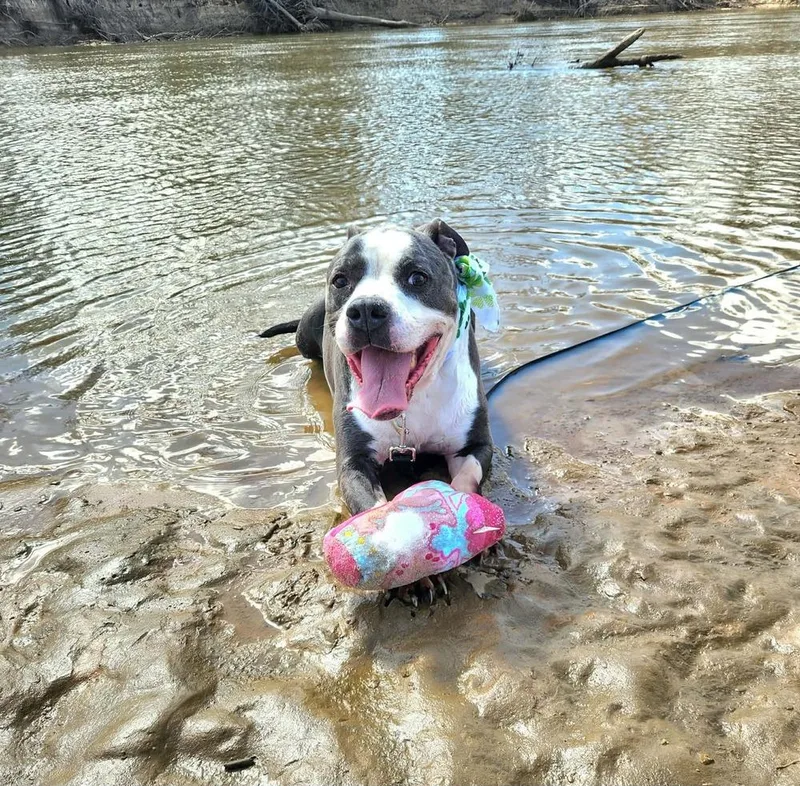 Tannen  💜 thumbnail 6