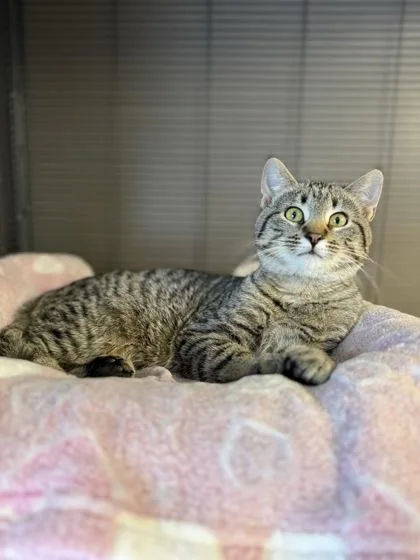 Vermillion thumbnail 2