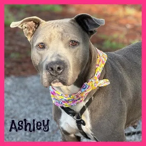 Ashley