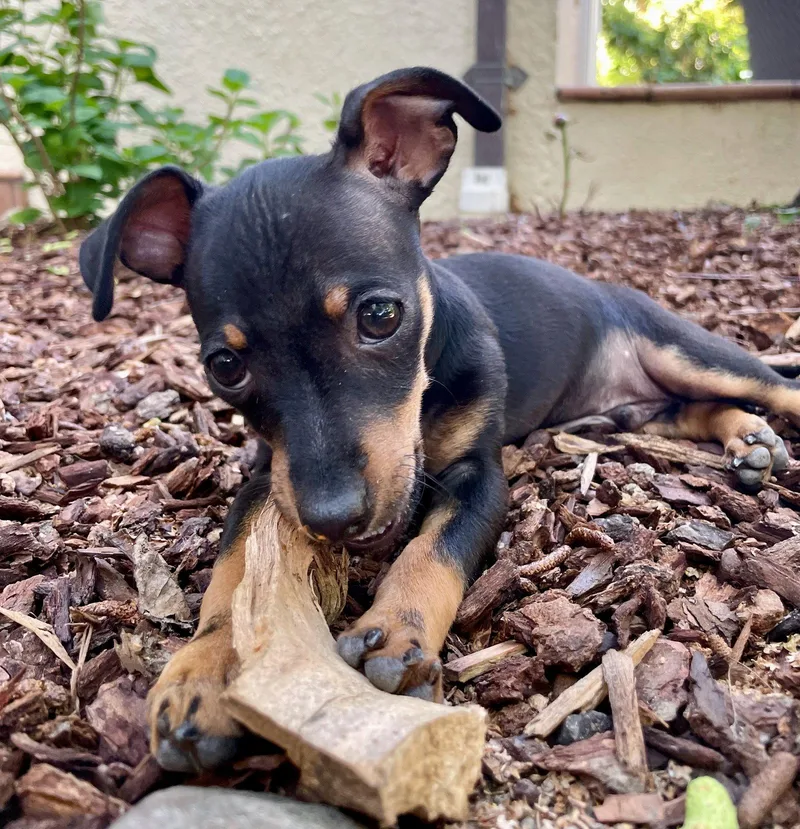 Mr. Big Stuff thumbnail 2