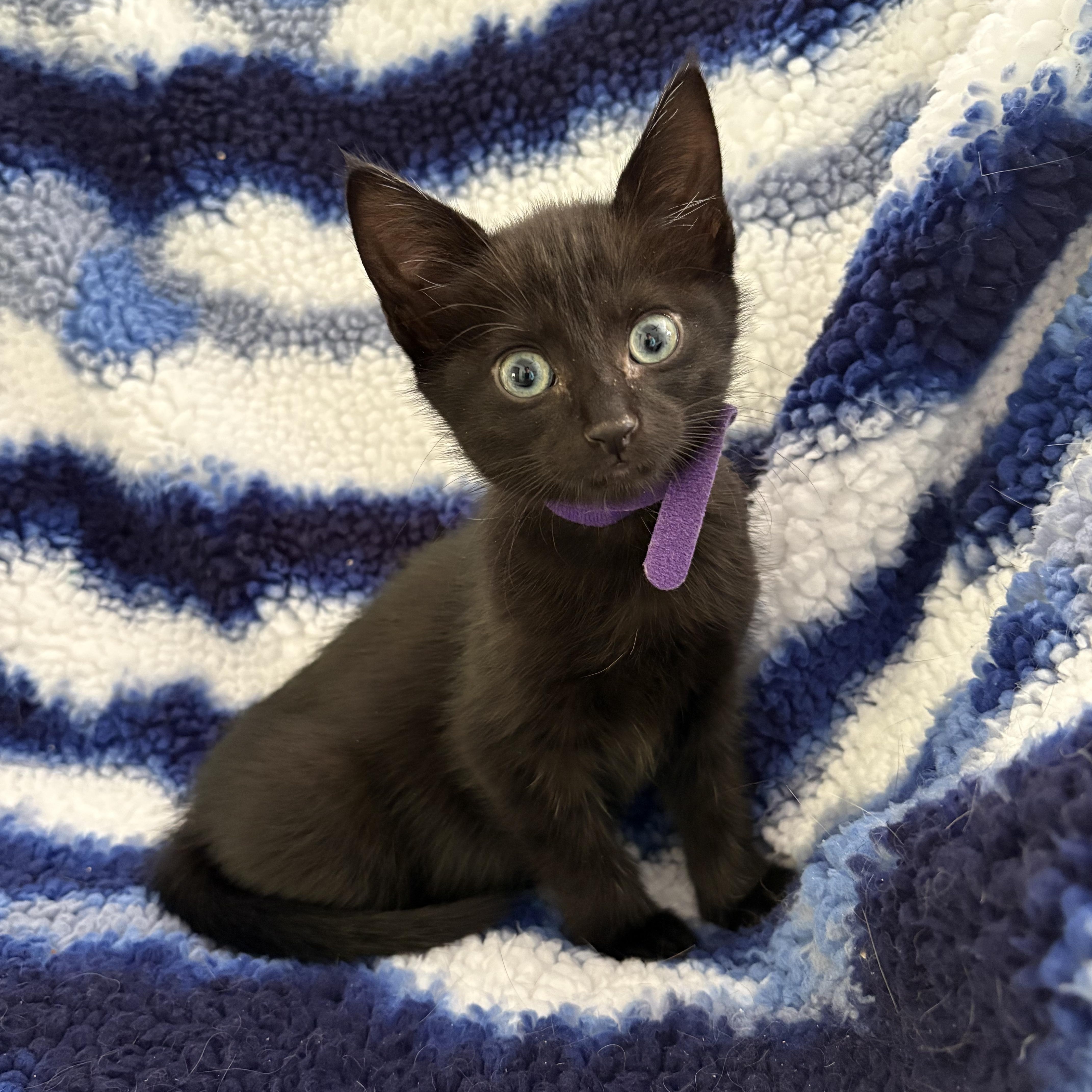 Ena thumbnail 2