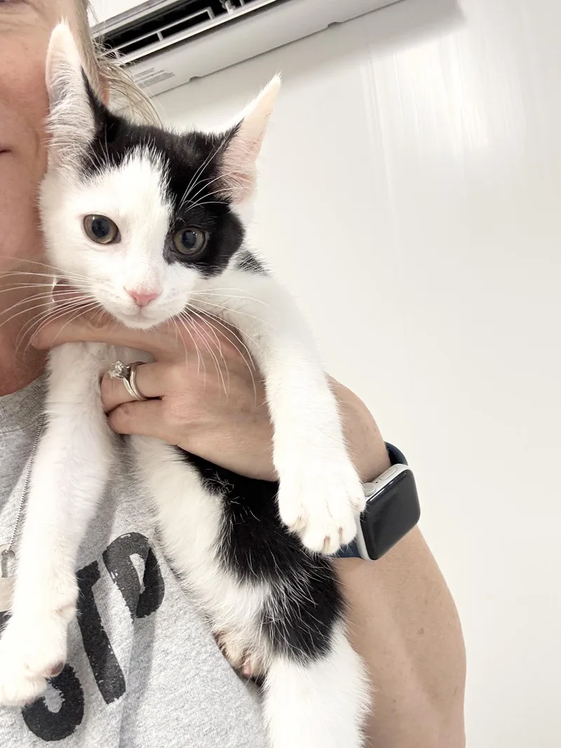 Snuggly Esteban thumbnail 3