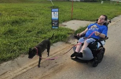 An adult large-sized female Pit Bull Terrier dog named Eva for adoption in Kansas City, MO