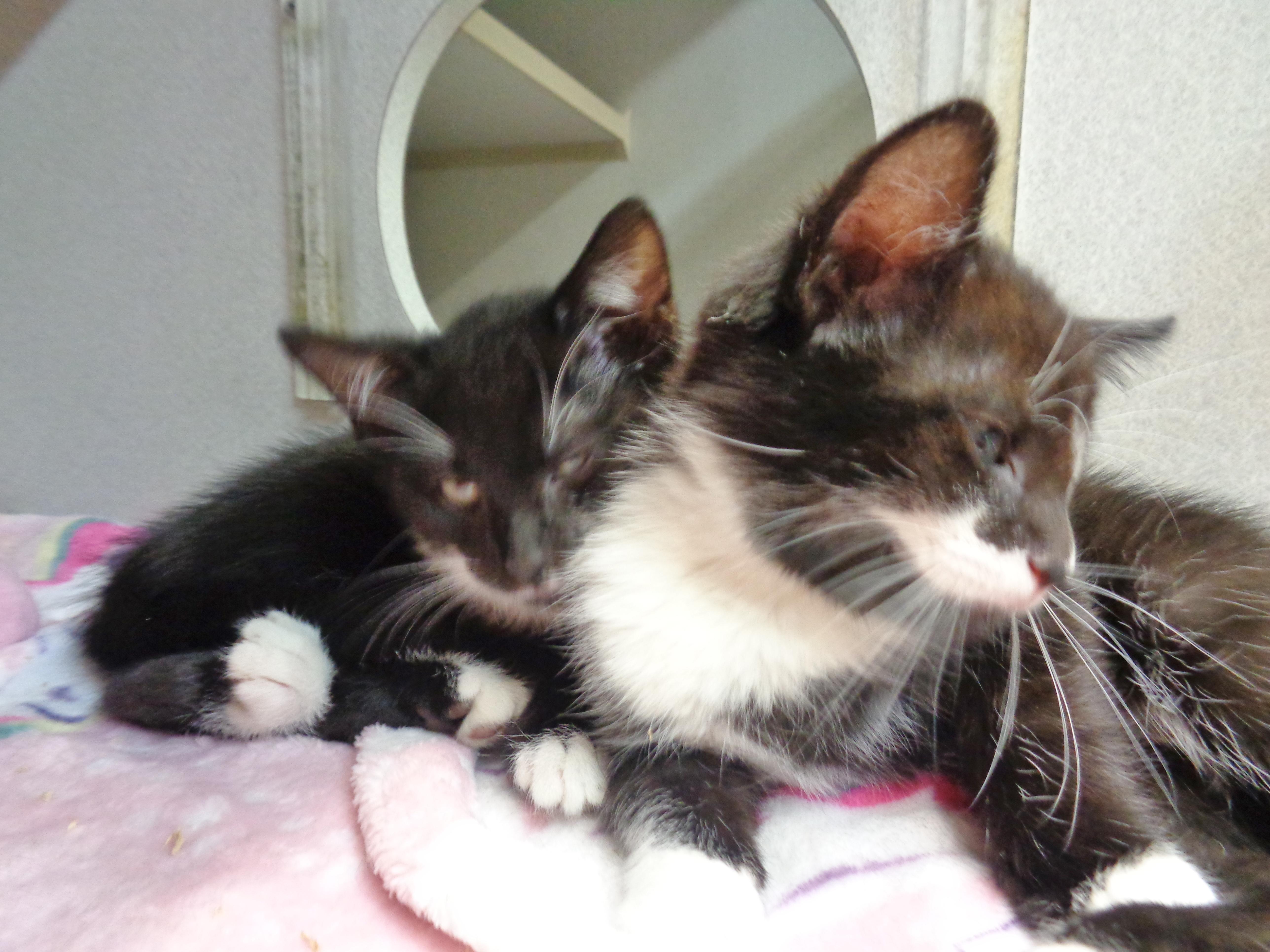 Humor & Comedy thumbnail 2