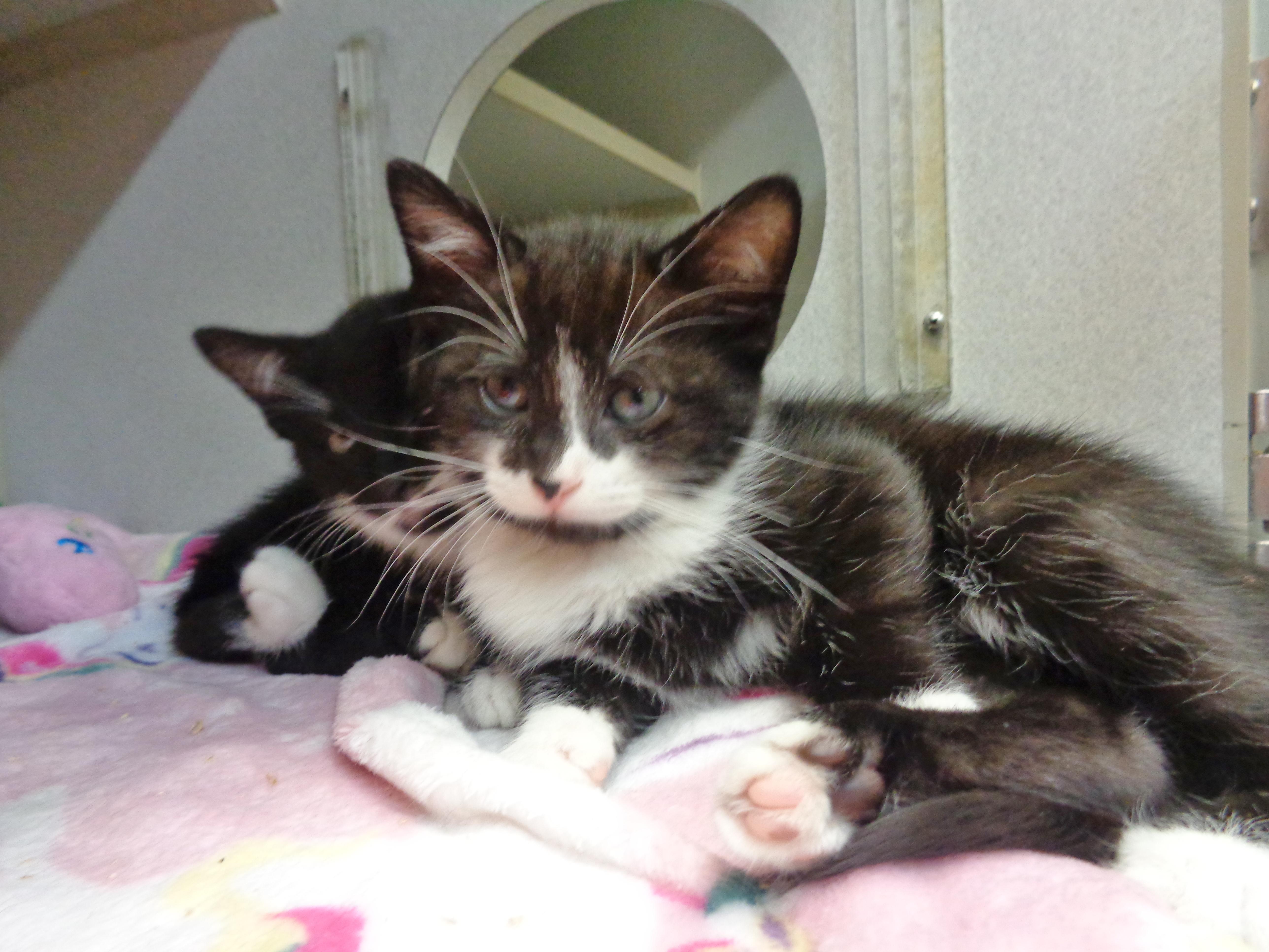 Humor & Comedy thumbnail 3