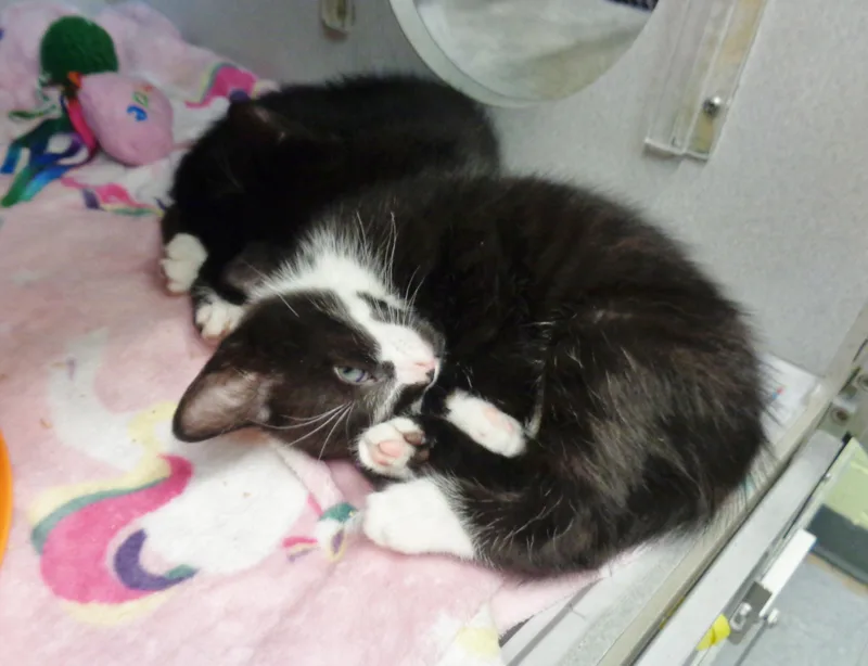 Humor & Comedy thumbnail 4