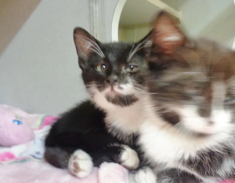 Humor & Comedy thumbnail 5