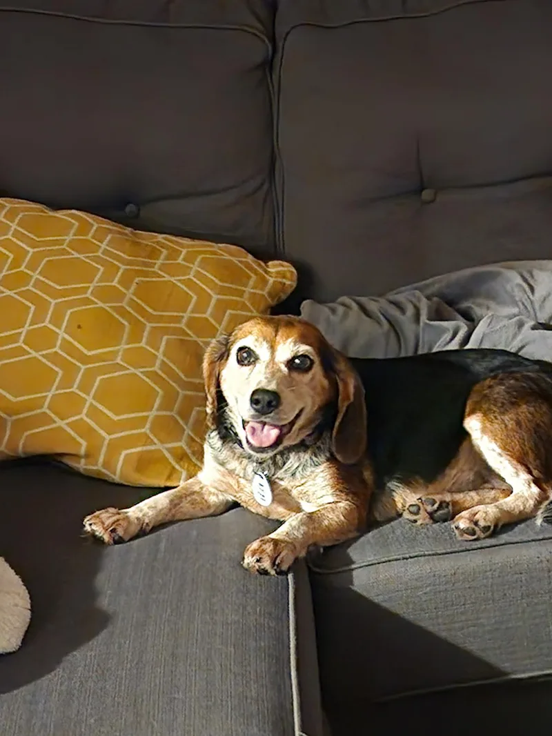 Chloe