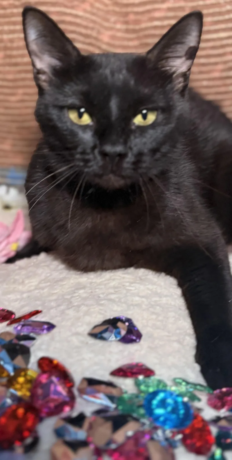 Luna