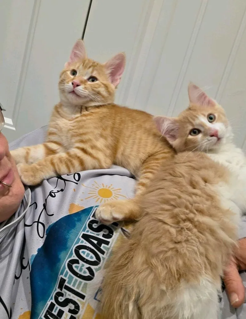Sam and Dean thumbnail 4
