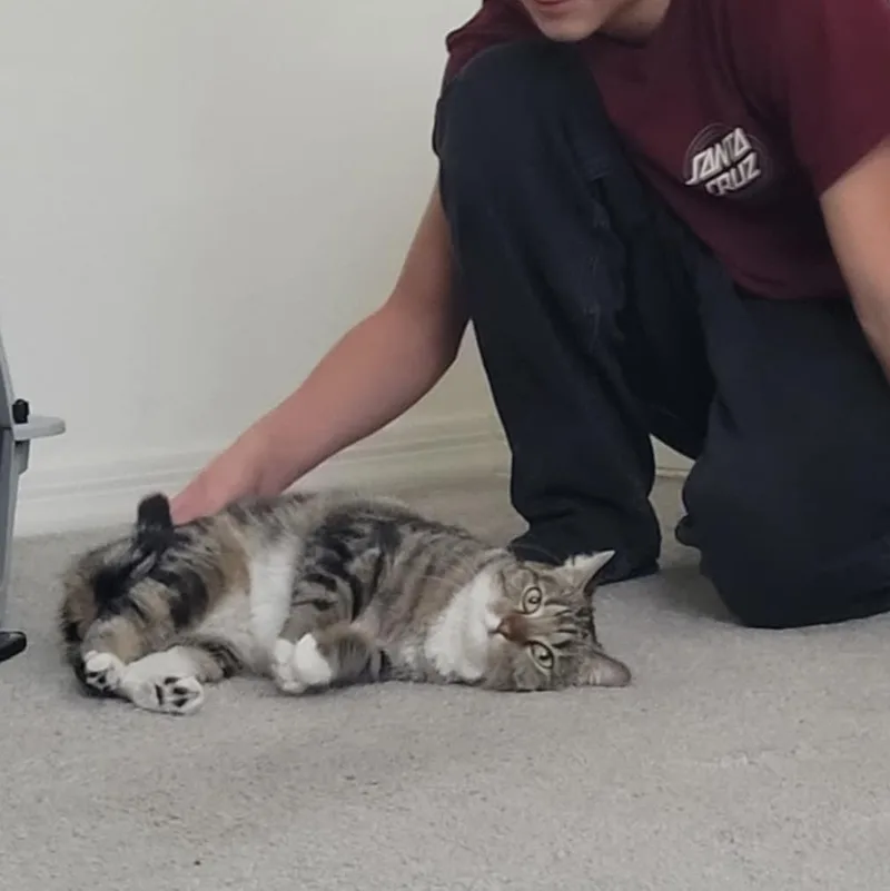 Bobbi Ann thumbnail 3