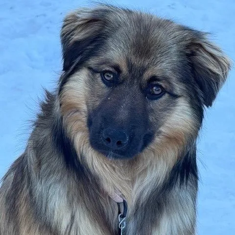 Fillmore thumbnail 2