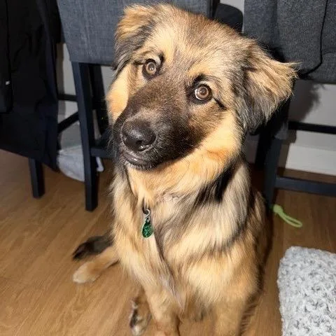 Fillmore thumbnail 3