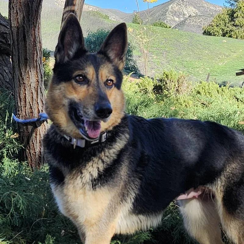 Meekah Key thumbnail 2