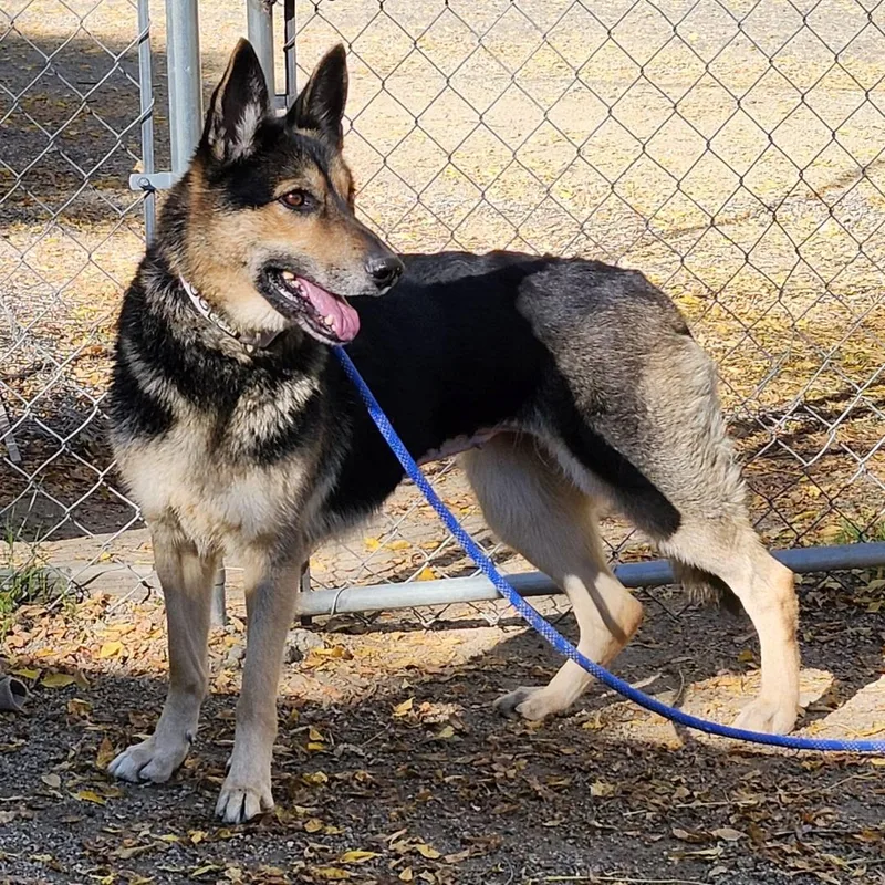 Meekah Key thumbnail 3