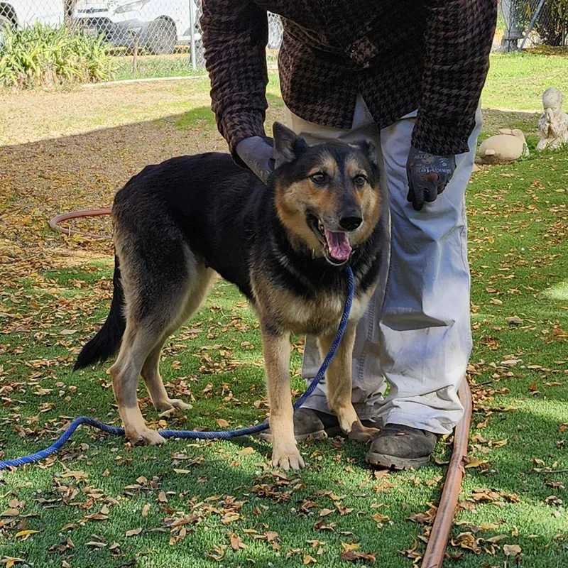 Meekah Key thumbnail 4