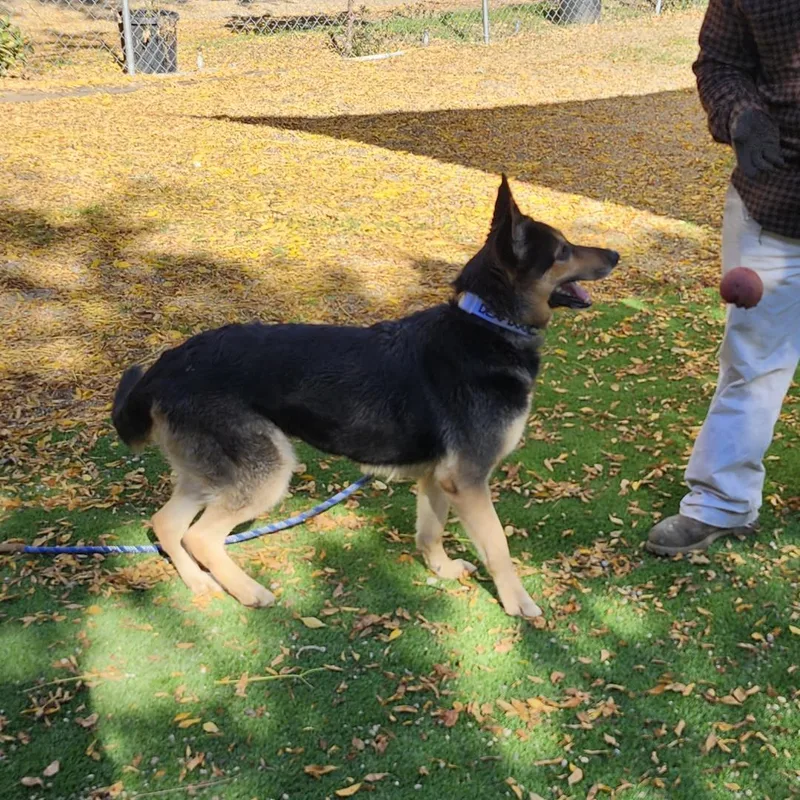 Meekah Key thumbnail 5