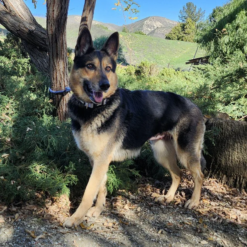 Meekah Key thumbnail 6