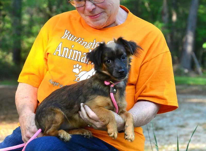 Katie Bug thumbnail 2