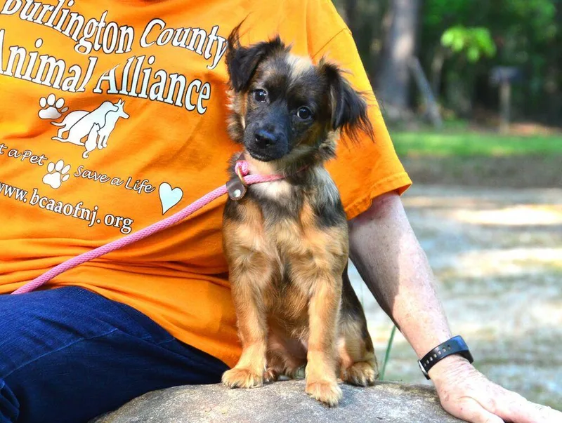 Katie Bug thumbnail 3