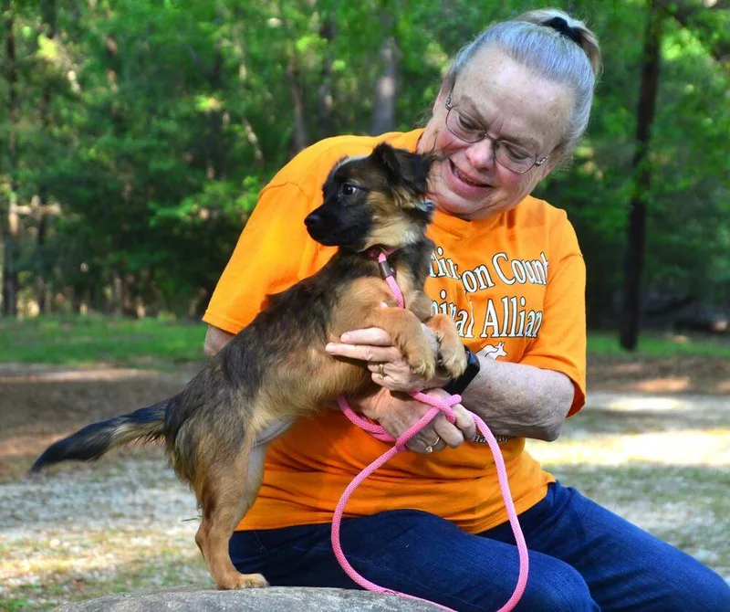 Katie Bug thumbnail 4