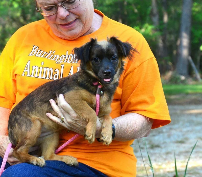 Katie Bug thumbnail 5