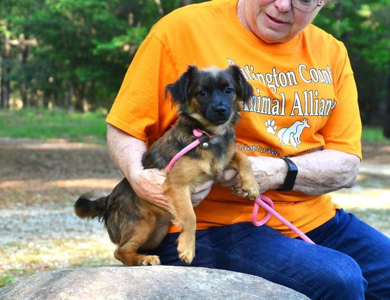 Katie Bug thumbnail 6