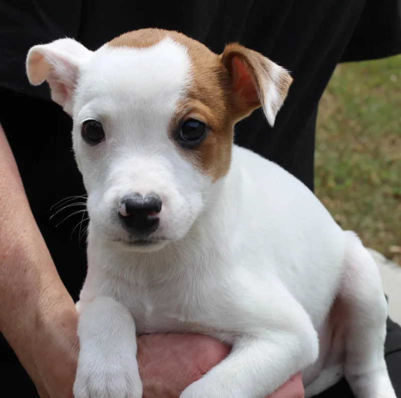 Judge Milian thumbnail 2