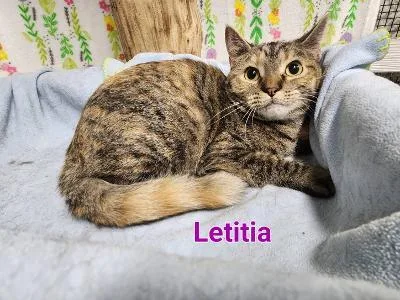 Letitia