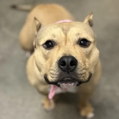 Fritzi Marie thumbnail 2