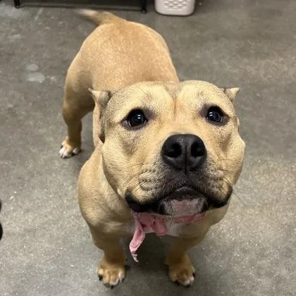 Fritzi Marie thumbnail 3