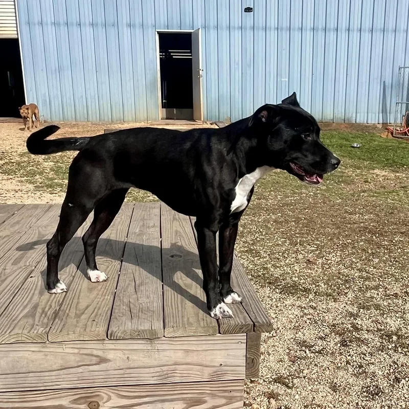 Lady Micki thumbnail 2