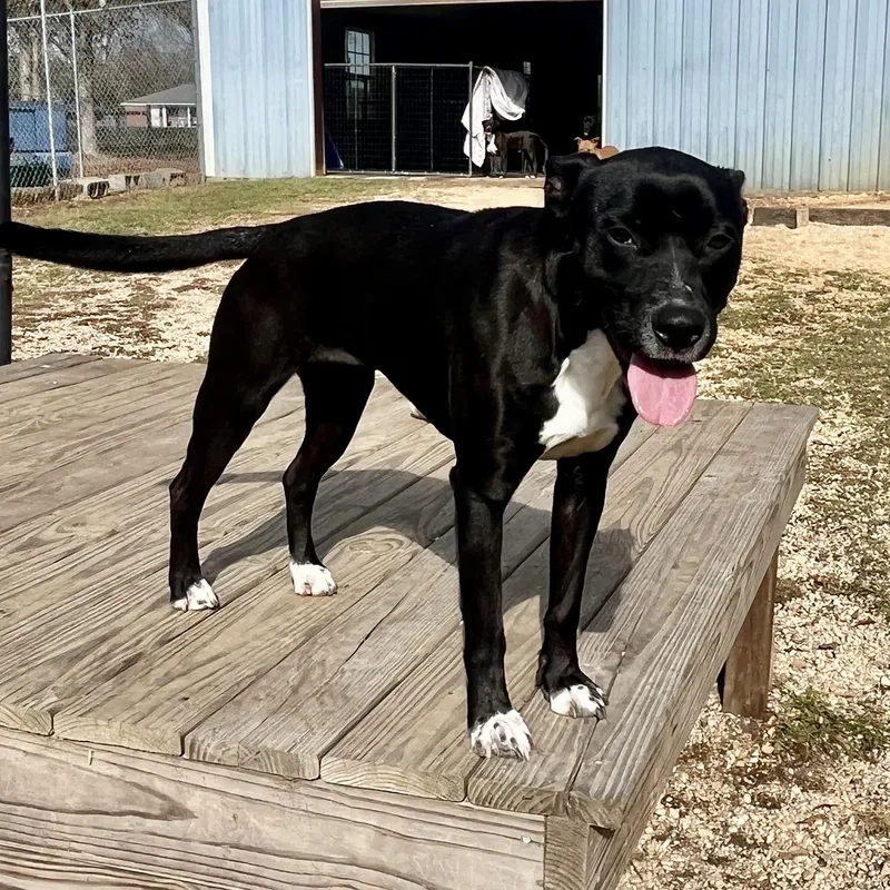 Lady Micki thumbnail 3