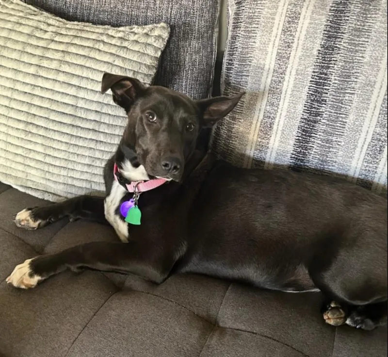 Govielynn thumbnail 2