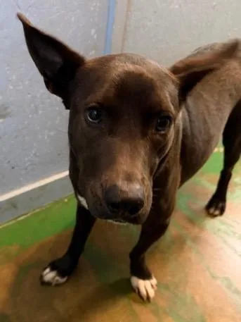 Govielynn thumbnail 5