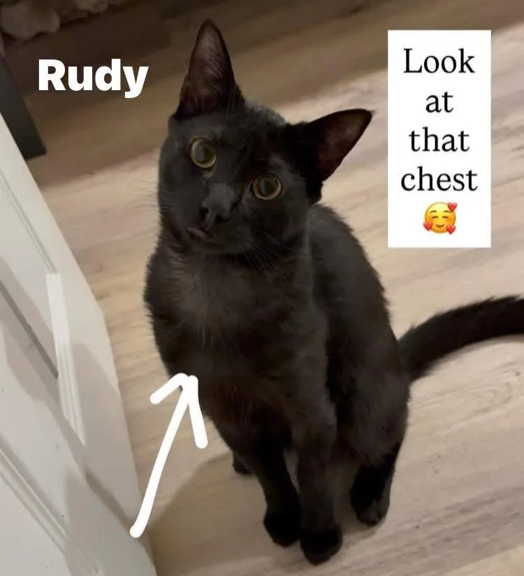 Rudy thumbnail 3