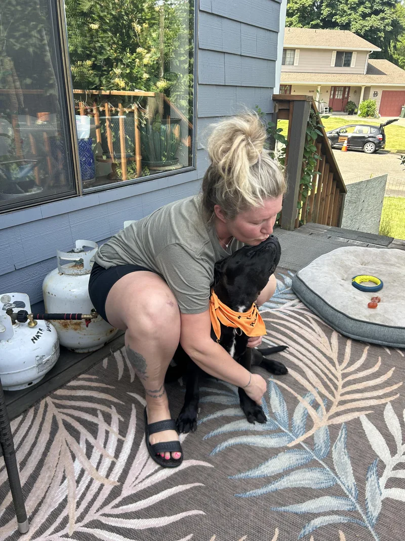 A baby medium-sized male Brown / Chocolate Labrador Retriever dog named Berkely for adoption in AUBURN, WA