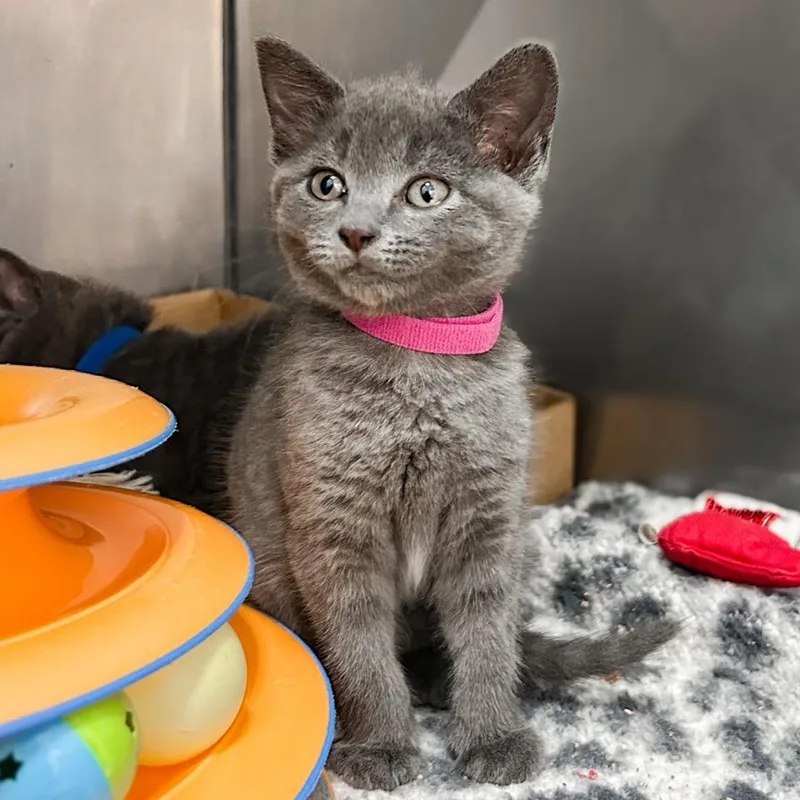 Tina