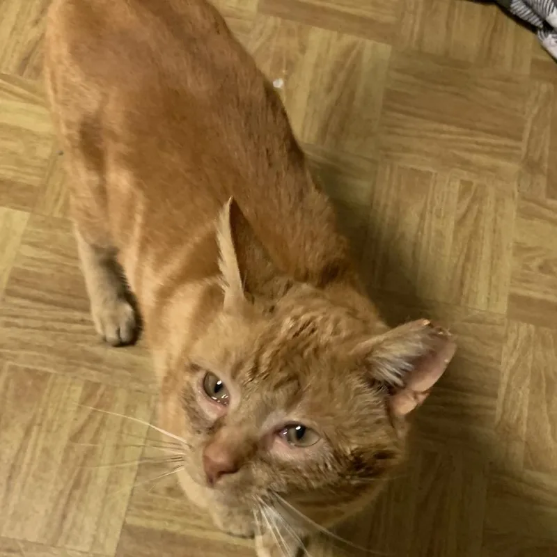 Oj Estep thumbnail 2