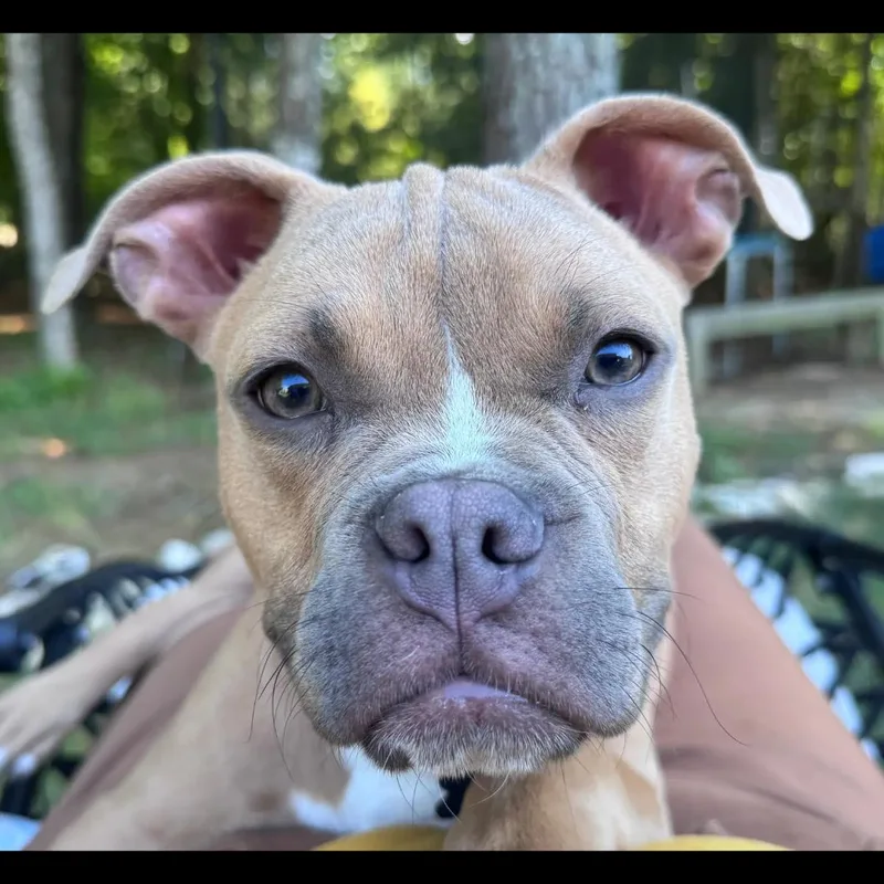 Clutch thumbnail 5