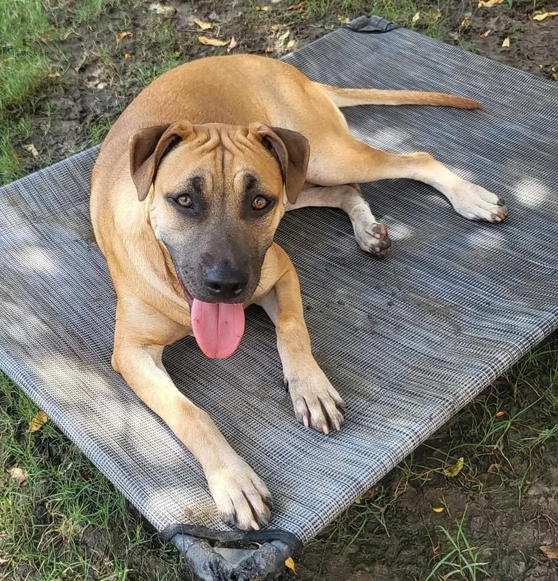 Vermouth thumbnail 2