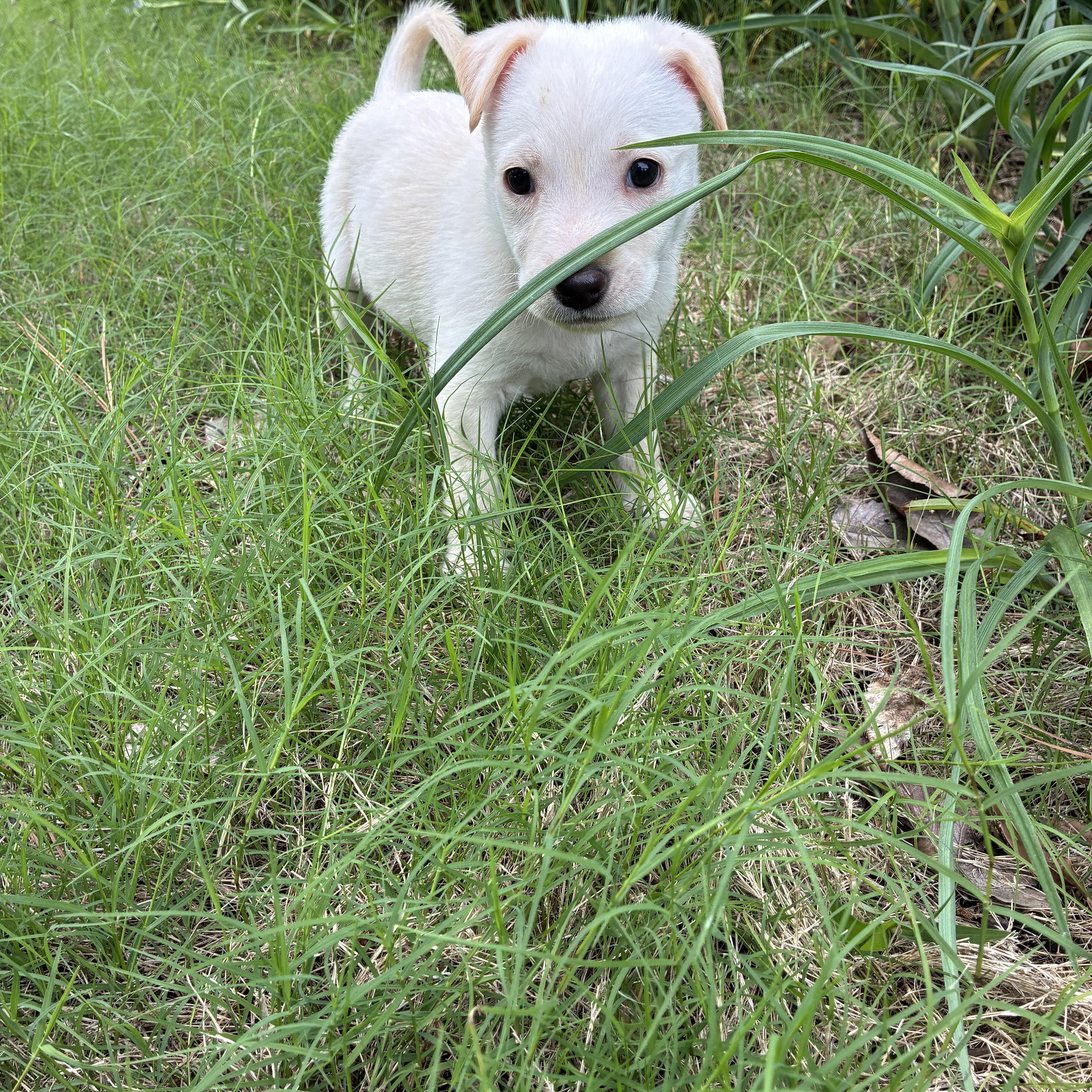 Zoey