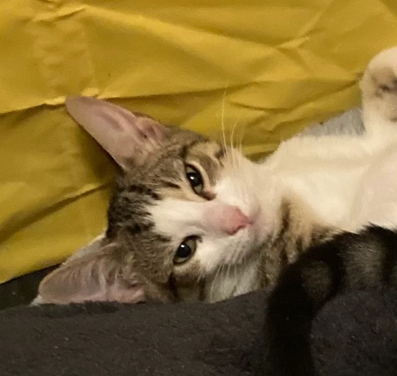 Lulu & Vicki thumbnail 4