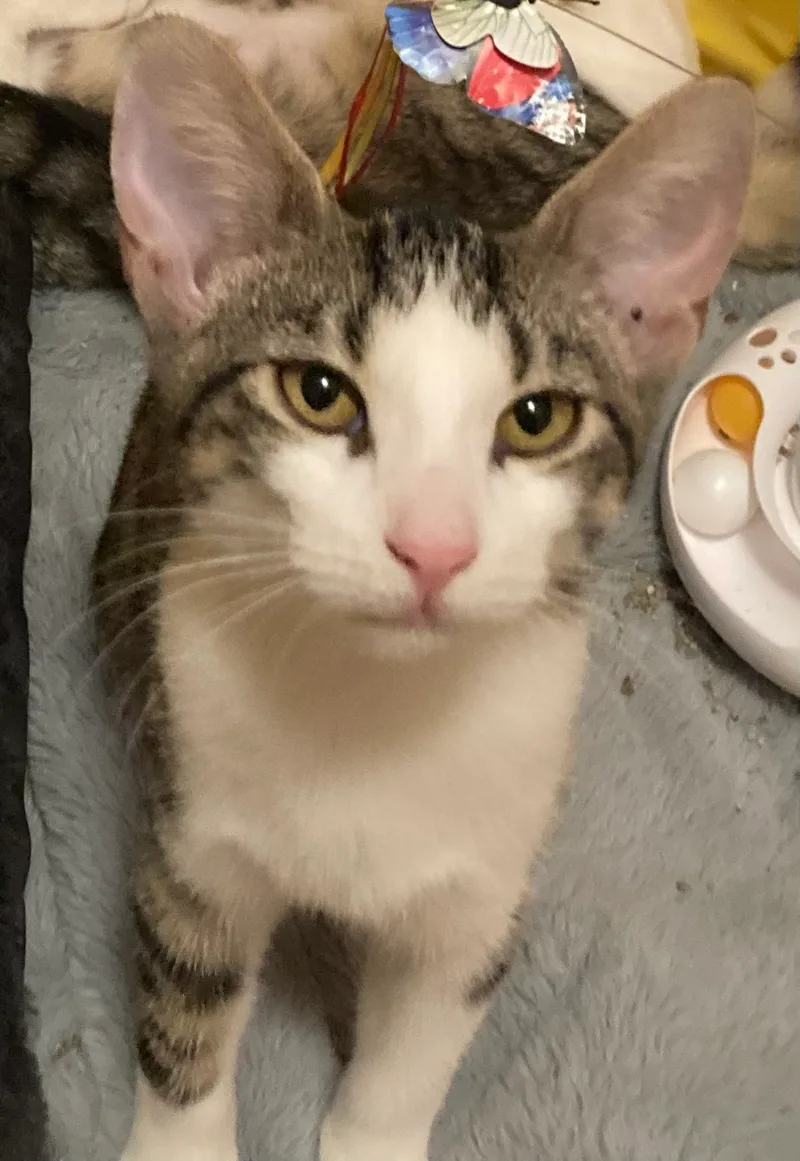 Lulu & Vicki thumbnail 5