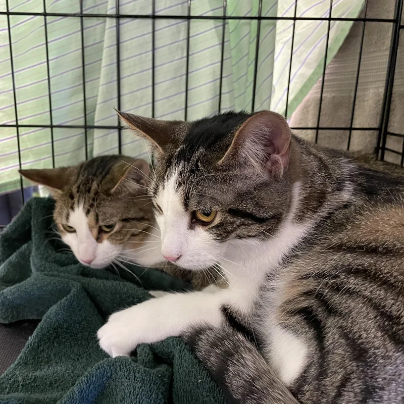 Lulu & Vicki thumbnail 6