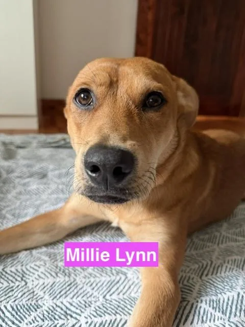 Ace and Millie Lynn thumbnail 2