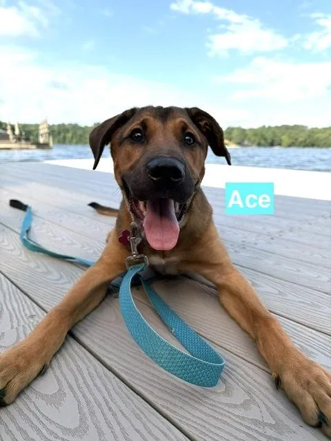 Ace and Millie Lynn thumbnail 3
