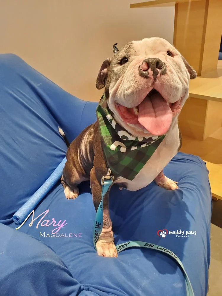 Mary Magdalene thumbnail 2